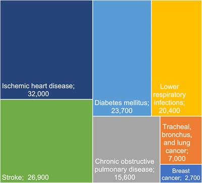 Preventable Deaths Attributable to Second-Hand Smoke in Southeast Asia—Analysis of the Global Burden of Disease Study 2019
